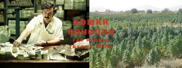 крисы Кодинск