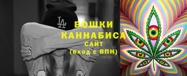 дмт Гвардейск