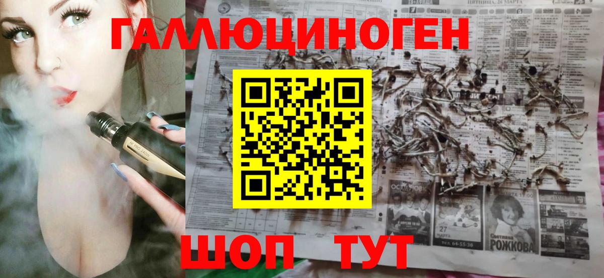 Галлюциногенные грибы Magic Shrooms  сколько стоит  Красный Сулин  Вход с VPN  Псилоцибиновые грибы GOLDEN TEACHER 
