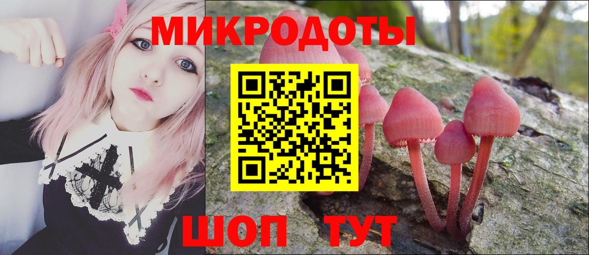 Галлюциногенные грибы MAGIC MUSHROOMS Красный Сулин